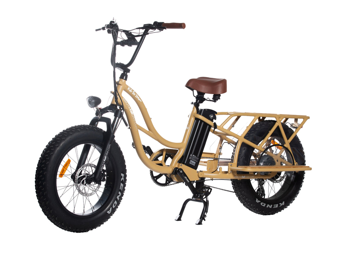 Cargo Bike Electrikfatbike Vista Lateral 2