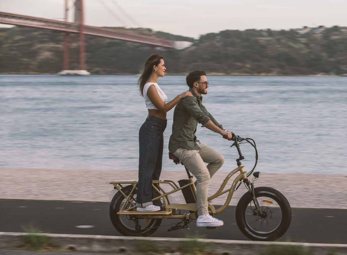 Cargo Bike Electrikfatbike Ideal para 2