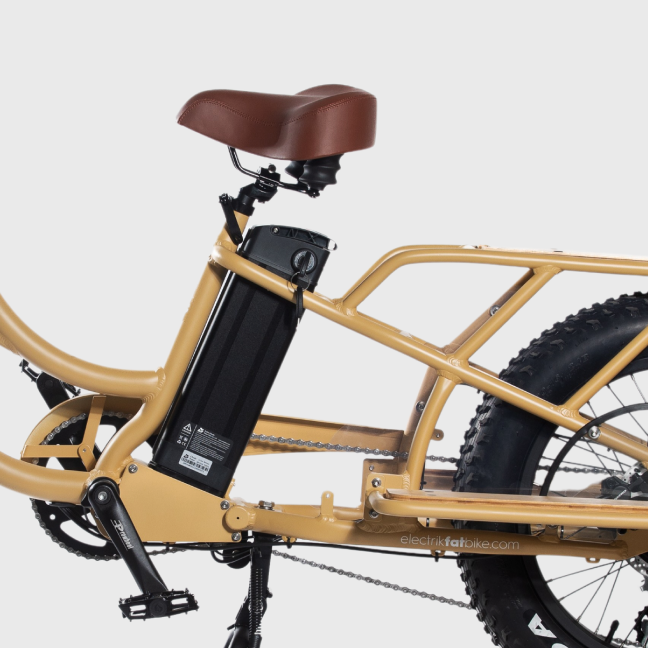 Cargo Bike Electrikfatbike com bateria Samsung