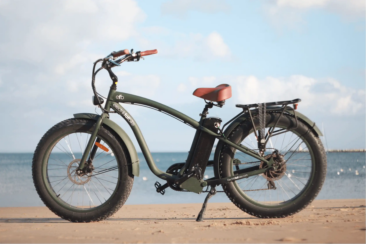 Bicicleta elétrica modelo homem da Electrikfatbike